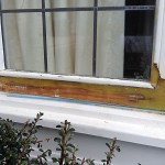 Wood Care Repair - during repair
